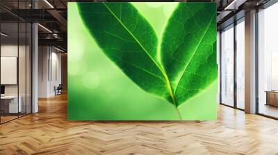 Green leaf background close up view. Nature foliage abstract of leave texture for showing concept of green business and ecology for organic greenery and natural product background. 3D illustration. Wall mural