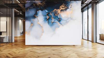 Marble ink abstract art from exquisite original painting for abstract background . Painting was painted on high quality paper texture to create smooth marble background pattern of ombre alcohol ink . Wall mural