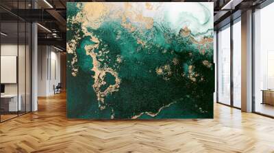 Marble ink abstract art from exquisite original painting for abstract background . Painting was painted on high quality paper texture to create smooth marble background pattern of ombre alcohol ink . Wall mural