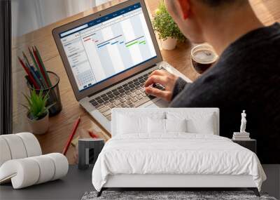 Project planning software for modish business project management on the computer screen showing timeline chart of the team project Wall mural