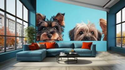 The picture of front view and close up of the multiple group of the various cat and dog in front of the bright blue background that look back to the camera with the curious and interest face. AIGX03. Wall mural