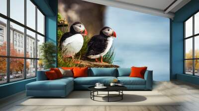 Wild Atlantic puffin seabird in the auk family. Wall mural