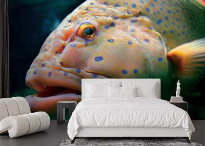 big tropical fish Wall mural