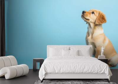 Adorable puppy sitting on a blue background, showcasing its playful personality and cute features. Wall mural