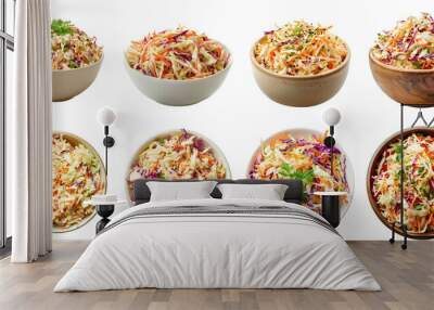 Coleslaw png collection set no background for decoration. Wall mural