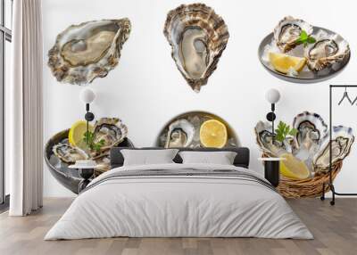 Set of oyster and lemon mockup in 3d without backoground png for decoration. Created using generative AI. Wall mural