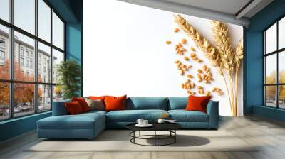 Golden ripe wheat on white background Wall mural