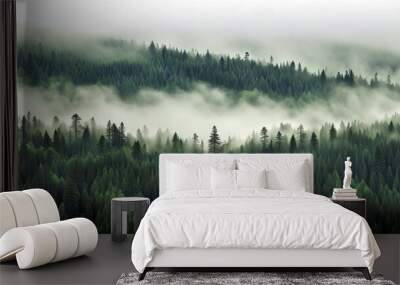 Pine forest in the mist Wall mural