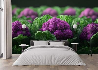 Close Up of Vibrant Purple Cauliflower Amongst Verdant Agricultural Landscape Wall mural