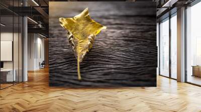 Single Autumn Maple Leaf, Turning yellow , Isolated on Wooden floor Wall mural