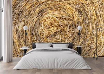 Close up of large round cylindrical straw or hay bale . Straw used as biofuel, biogas, animal feed, construction material. Straw bale background. Wall mural