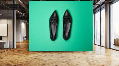 Classy black pointed-toe leather ballet flats with wrinkled and ruffle details isolated on the soft green background. The concept of modern stylish footwear Wall mural