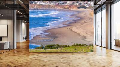 Aerial view of sandy beach in Bodega Bay; Tule Elks sitting on a pasture in Point Reyes National Seashore in the foreground; Houses in Dillon Beach in the background; Marin County, California; Wall mural