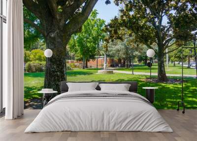 Beautiful public park with mature Magnolia trees in downtown Los Gatos, close to the Civic Center, south San Francisco bay area, California Wall mural