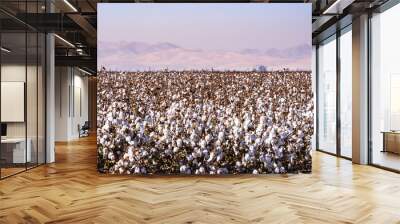 Cotton field ready for harvesting; pollution and haze visible in the air, making hard to see the mountains in the background;  Central California Wall mural