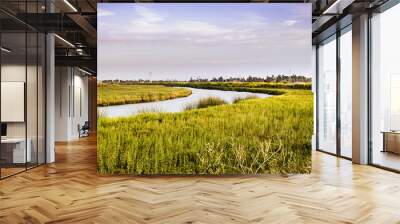 Creek flowing through the marshes of south San Francisco bay area, San Jose, California Wall mural