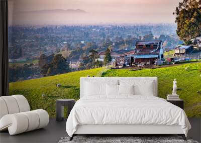 Farm on the verdant hills of East San Francisco Bay Area; Sheep and goats visible on the green pasture; residential neighborhoods visible in the background Wall mural