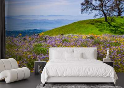 Field of colorful wildflowers in the hills of Henry W. Coe State Park, California Wall mural