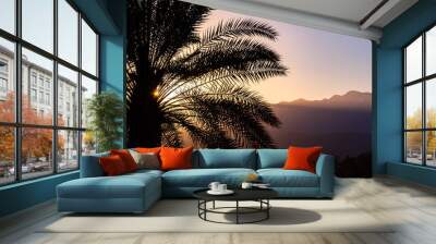 Sunlight illuminating a palm tree at sunset, Palm Springs, California Wall mural