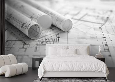 architect with blue print Wall mural