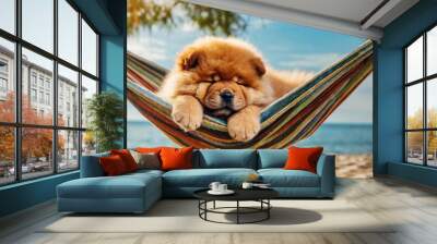 Cute puppy chow chow sleeping in hammock on the beach at sunset. Wall mural