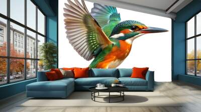 kingfisher bird, Transparent background Wall mural