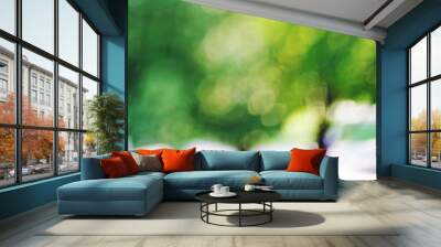 Bright blurred picture of green blurred trees and nature at daylight Wall mural