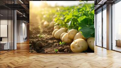 Growing potato harvest and producing vegetables cultivation. Concept of small eco green business organic farming gardening and healthy food Wall mural