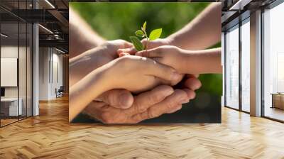 Child holding young green plant in hands Wall mural