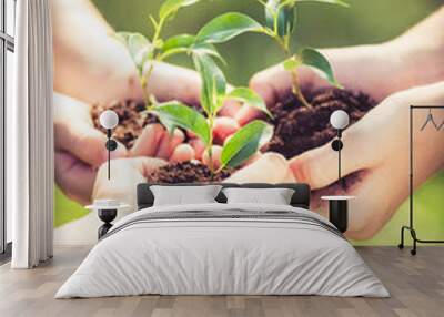 Children holding young plant in hands Wall mural