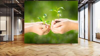 children holding young plant in hands Wall mural