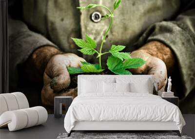 Man hands holding a green young plant Wall mural