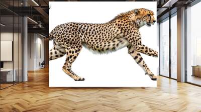 Full body side view of cheetah running isolated on white or transparent background, png clipart, design element. Easy to place on any other background. Wall mural