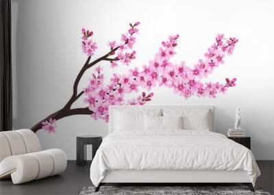 Vector spring sakura branch flower blossom isolated on white background floral decorative design element spring season
 Wall mural