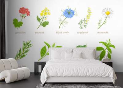 Set of cartoon medicinal herbs, plants and flowers. Vector cartoon flat illustration of geranium, mustard, black cumin, sagebrush, chamomile, eucalyptus, green tea branch, tea tree and verbena Wall mural