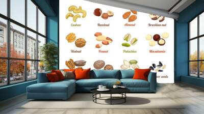 Set of named vector icons nuts and seeds. Cashew, hazelnut, almond, brazil nut, walnut, peanut, pistachios, macadamia, pecan, nutmeg, pumpkin seeds, sunflower seeds. Illustration in flat style. Wall mural