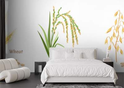 Vector wheat, rice and oats. Spikes and grains. Set of agricultural crops in flat style on white background. Simple flat style. Wall mural