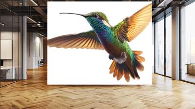 Beautiful Hummingbird in Flight on white background . AI generated Illustration. Wall mural