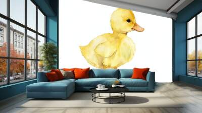 Adorable Watercolor Duckling Wall mural