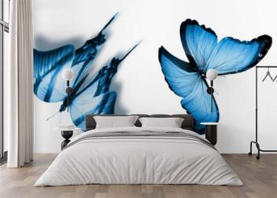 Color natural and watercolor butterflies , isolated on white background Wall mural