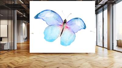 Color watercolor butterfly , isolated on the white background. Set Wall mural