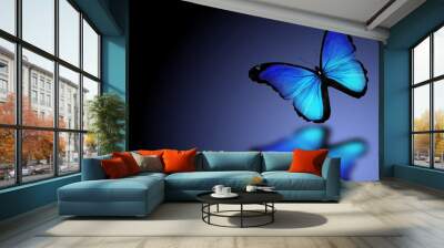 Morpho blue butterfly on dark blue background Wall mural