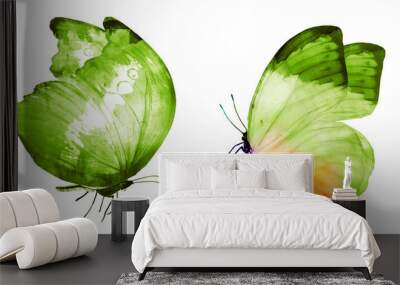 Two watercolor butterflies , isolated on white background Wall mural