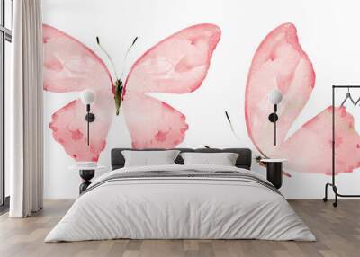 Two watercolor butterflies , isolated on white background Wall mural