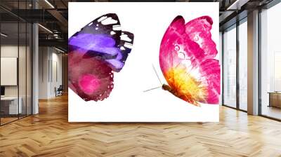 Two watercolor butterflies , isolated on white background Wall mural