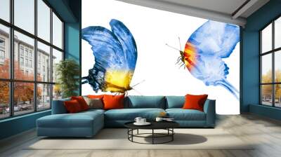 Two watercolor butterflies , isolated on white background Wall mural