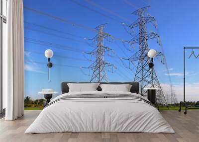 Electric pole or high voltage post on a paddy field with blue sky background. Wall mural