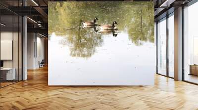 2 harmonische Enten Wall mural