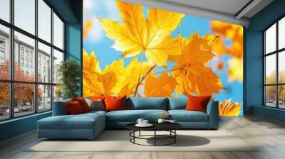 Bright Yellow Autumn Leaves Against a Clear Blue Sky Capturing the Essence of Fall Season Wall mural