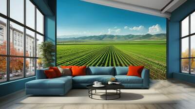 Expansive green farmland with neatly aligned crop rows, set against a backdrop of rolling hills and a clear blue sky. Wall mural